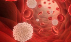 White blood cell disease treatment